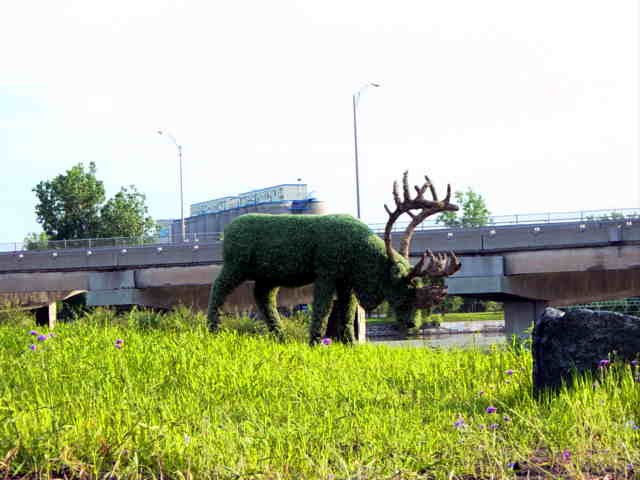 DziaLka na sprzedaz Warszawa Trzmielow