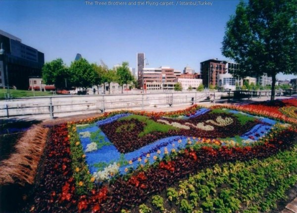 DziaLka na sprzedaz Warszawa Trzmielow