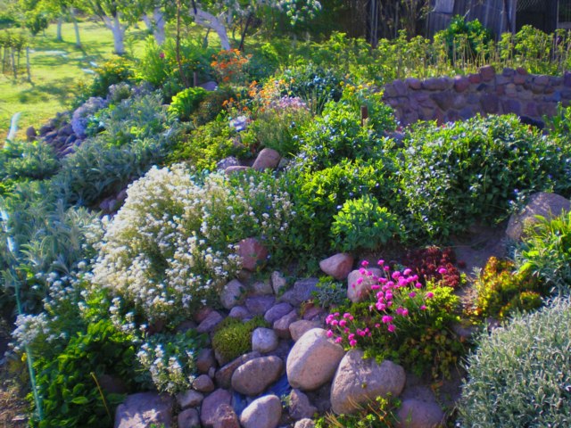 DziaLka na sprzedaz Warszawa Trzmielow