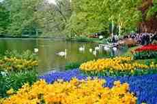 DziaLka na sprzedaz Warszawa Trzmielow