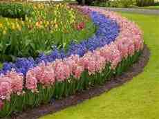 DziaLka na sprzedaz Warszawa Ursynow