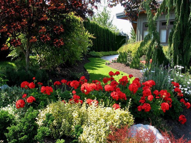 DziaLka na sprzedaz Wolka Jarkowice