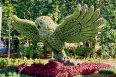 DziaLka na sprzedaz Wroclaw Kloda