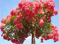 DziaLka na sprzedaz Wroclaw Kloda