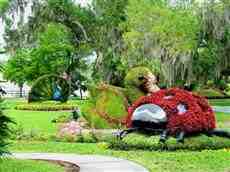 DziaLka na sprzedaz Zawonia Ruszowice