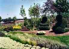 DziaLka na sprzedaz Zielonki Przybyslawice