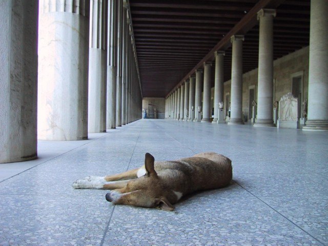Obiekt na sprzedaz Warszawa Trzmielow