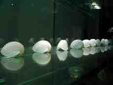 Obiekt na wynajem Warszawa Mokotow